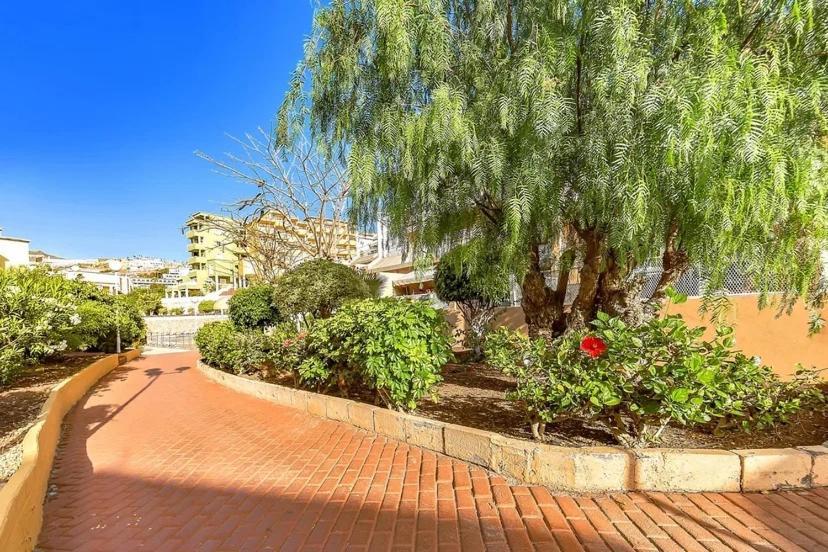 Tenerifeopenhome Costa Adeje Prestige Apartment With Pools Costa Adeje (Tenerife) Exterior foto